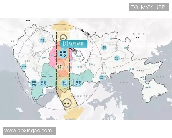 深圳篮球队的崛起与发展：探索球队意识与文化的深度解析