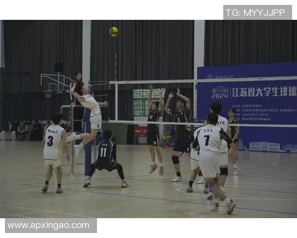 武汉排球队的奋斗精神与团队意识探讨：排球运动中的团结与拼搏之道